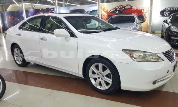 Buy Import Lexus 350 White Car in Import - Dubai in Central Buy Import Lexus 350 White Car in Import - Dubai in Central