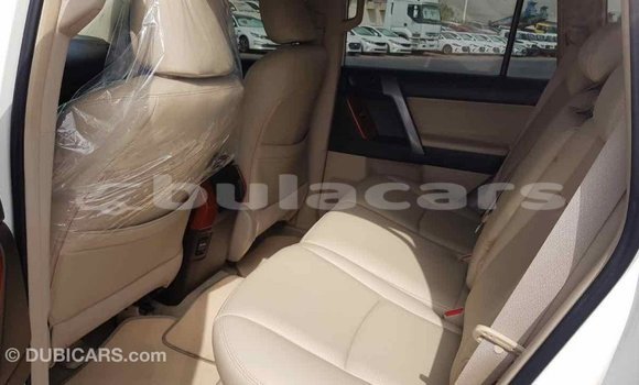 Buy Import Toyota Prado White Car in Import - Dubai in Central Buy Import Toyota Prado White Car in Import - Dubai in Central