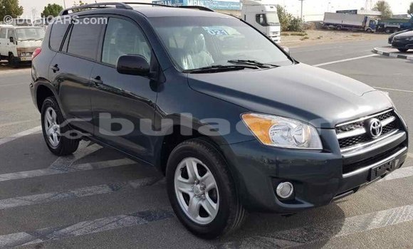 Buy Import Toyota RAV4 Green Car in Import - Dubai in Central Buy Import Toyota RAV4 Green Car in Import - Dubai in Central
