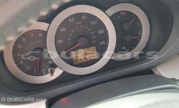 Buy Import Toyota RAV4 Grey Car in Import - Dubai in Central Buy Import Toyota RAV4 Grey Car in Import - Dubai in Central