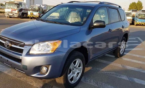 Buy Import Toyota RAV4 Blue Car in Import - Dubai in Central Buy Import Toyota RAV4 Blue Car in Import - Dubai in Central