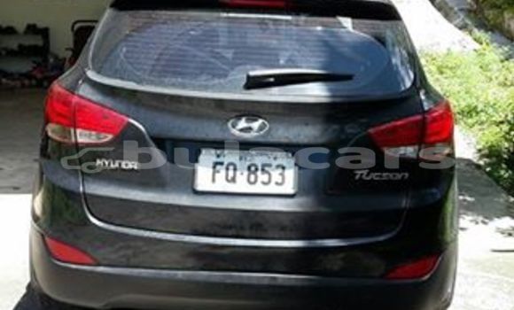Buy Used Hyundai Tucson Other Car in Navua in Central