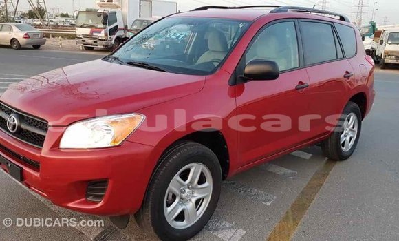 Buy Import Toyota RAV4 Red Car in Import - Dubai in Central Buy Import Toyota RAV4 Red Car in Import - Dubai in Central