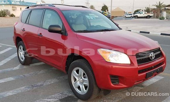 Buy Import Toyota RAV4 Red Car in Import - Dubai in Central Buy Import Toyota RAV4 Red Car in Import - Dubai in Central
