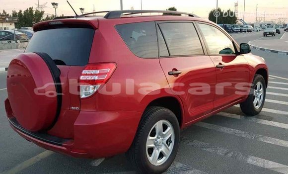 Buy Import Toyota RAV4 Red Car in Import - Dubai in Central Buy Import Toyota RAV4 Red Car in Import - Dubai in Central