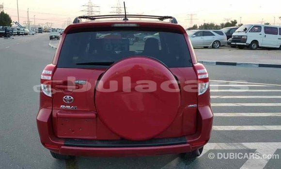 Buy Import Toyota RAV4 Red Car in Import - Dubai in Central Buy Import Toyota RAV4 Red Car in Import - Dubai in Central