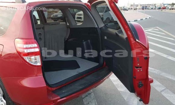 Buy Import Toyota RAV4 Red Car in Import - Dubai in Central Buy Import Toyota RAV4 Red Car in Import - Dubai in Central