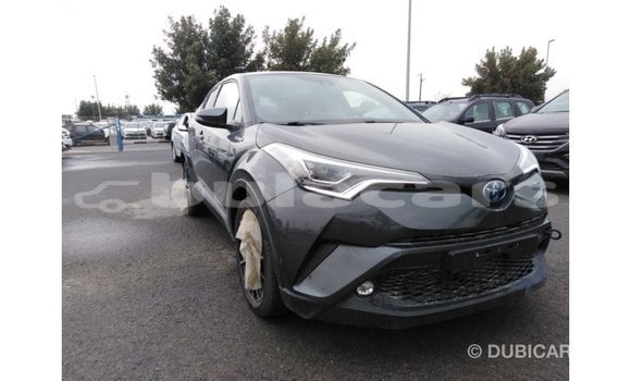 Buy Import Toyota C-HR Grey Car in Import - Dubai in Central Buy Import Toyota C-HR Grey Car in Import - Dubai in Central