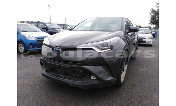 Buy Import Toyota C-HR Grey Car in Import - Dubai in Central Buy Import Toyota C-HR Grey Car in Import - Dubai in Central