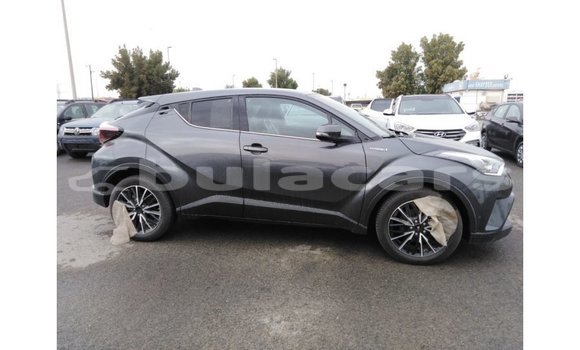 Buy Import Toyota C-HR Grey Car in Import - Dubai in Central Buy Import Toyota C-HR Grey Car in Import - Dubai in Central
