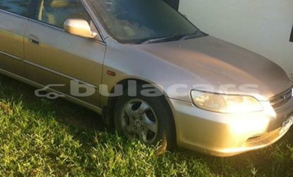 Buy Used Honda Accord Other Car in Lautoka in Western