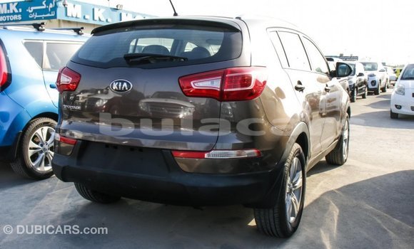 Buy Import Kia Sportage Brown Car in Import - Dubai in Central Buy Import Kia Sportage Brown Car in Import - Dubai in Central