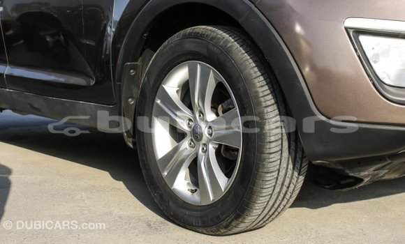 Buy Import Kia Sportage Brown Car in Import - Dubai in Central Buy Import Kia Sportage Brown Car in Import - Dubai in Central