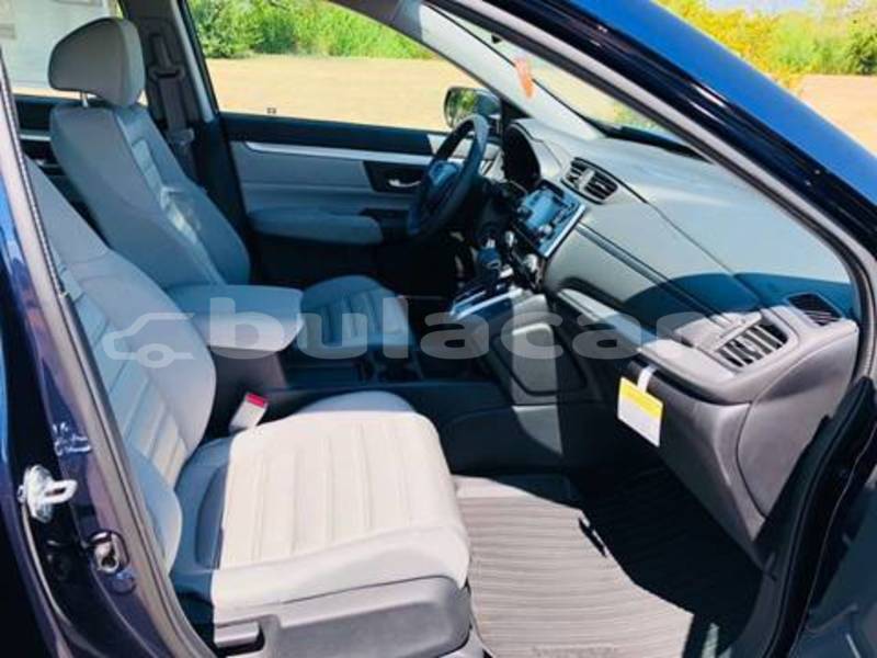 Big with watermark 1113409616