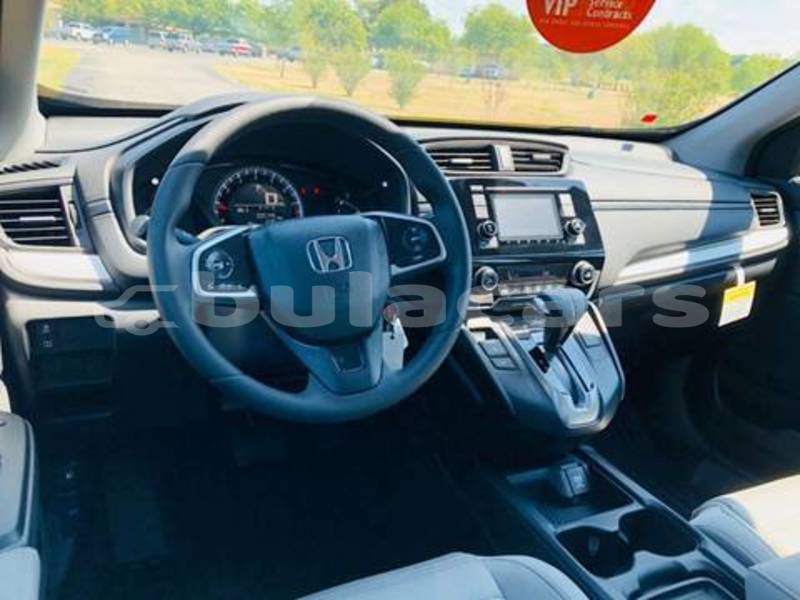 Big with watermark 1113409597