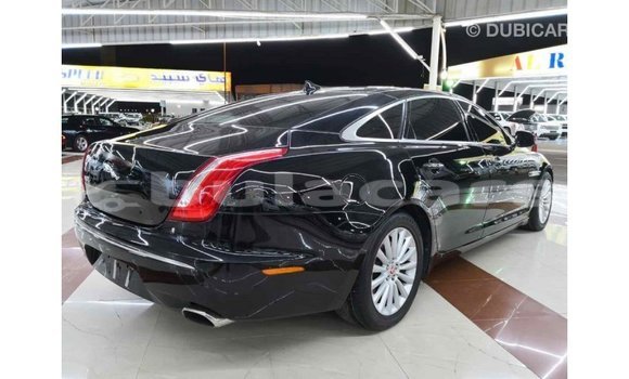 Buy Import Jaguar XJ Black Car in Import - Dubai in Central Buy Import Jaguar XJ Black Car in Import - Dubai in Central
