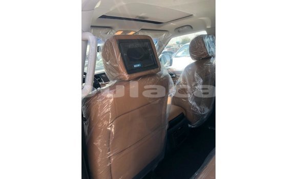 Buy Import Nissan Patrol White Car in Import - Dubai in Central Buy Import Nissan Patrol White Car in Import - Dubai in Central