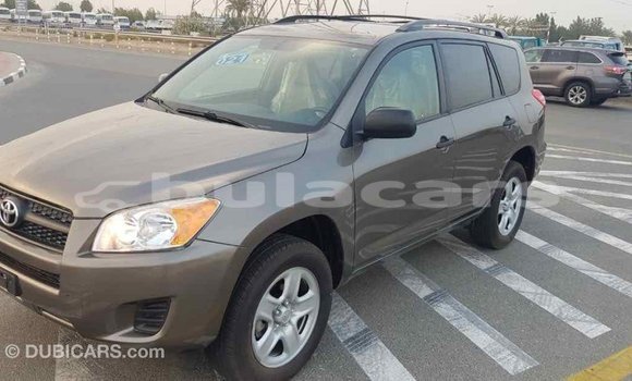 Buy Import Toyota 4Runner Brown Car in Import - Dubai in Central Buy Import Toyota 4Runner Brown Car in Import - Dubai in Central