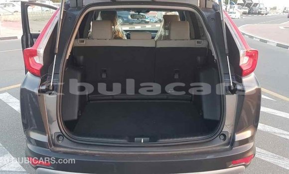 Buy Import Honda C Grey Bike in Import - Dubai in Central Buy Import Honda C Grey Bike in Import - Dubai in Central