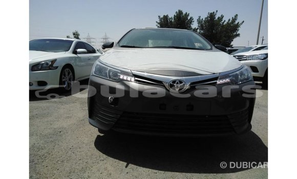 Buy Import Toyota Corolla Grey Car in Import - Dubai in Central Buy Import Toyota Corolla Grey Car in Import - Dubai in Central