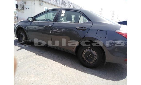 Buy Import Toyota Corolla Grey Car in Import - Dubai in Central Buy Import Toyota Corolla Grey Car in Import - Dubai in Central
