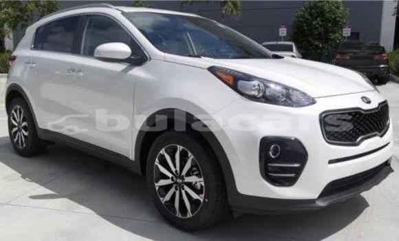 Buy Used Kia Sportage Other Car in Lami in Central Buy Used Kia Sportage Other Car in Lami in Central