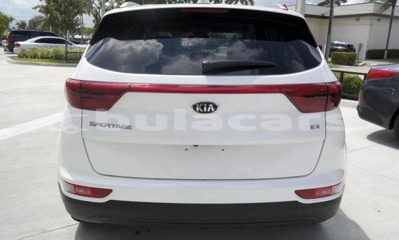 Buy Used Kia Sportage Other Car in Lami in Central