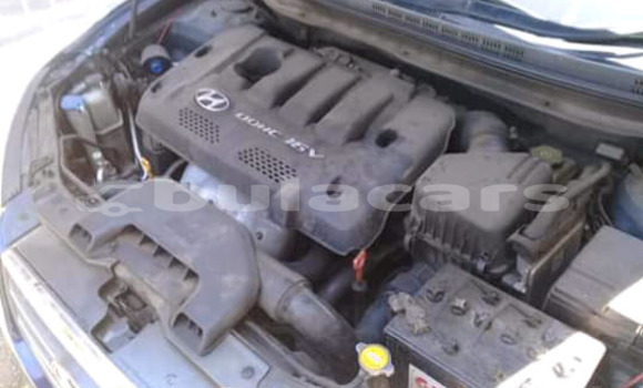 Buy Used Hyundai Elantra Blue Car in Nadi in Western Buy Used Hyundai Elantra Blue Car in Nadi in Western