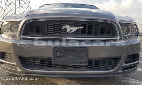 Buy Import Ford Mustang Grey Car in Import - Dubai in Central Buy Import Ford Mustang Grey Car in Import - Dubai in Central