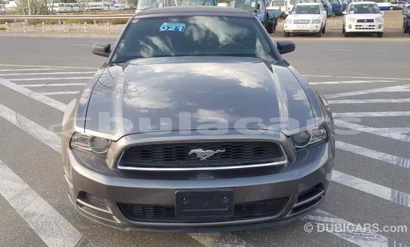 Buy Import Ford Mustang Grey Car in Import - Dubai in Central Buy Import Ford Mustang Grey Car in Import - Dubai in Central