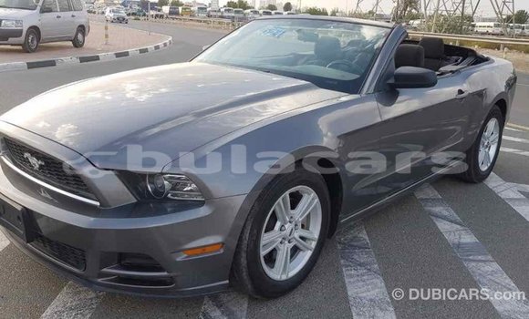 Buy Import Ford Mustang Grey Car in Import - Dubai in Central Buy Import Ford Mustang Grey Car in Import - Dubai in Central