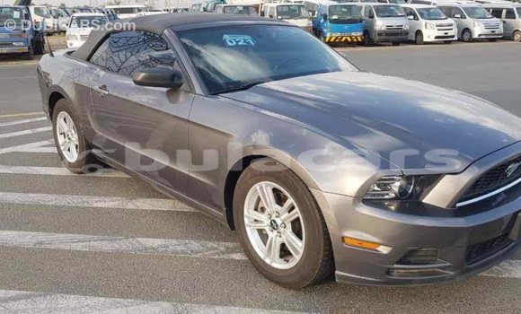 Buy Import Ford Mustang Grey Car in Import - Dubai in Central Buy Import Ford Mustang Grey Car in Import - Dubai in Central