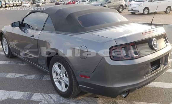 Buy Import Ford Mustang Grey Car in Import - Dubai in Central Buy Import Ford Mustang Grey Car in Import - Dubai in Central