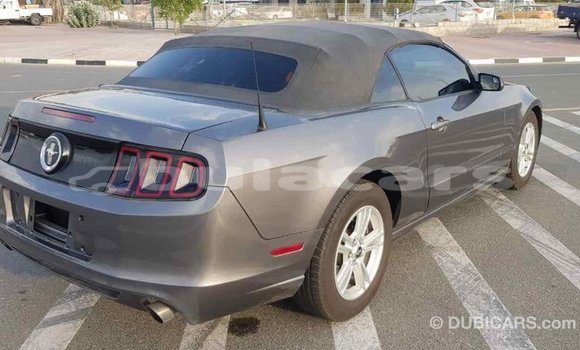 Buy Import Ford Mustang Grey Car in Import - Dubai in Central Buy Import Ford Mustang Grey Car in Import - Dubai in Central