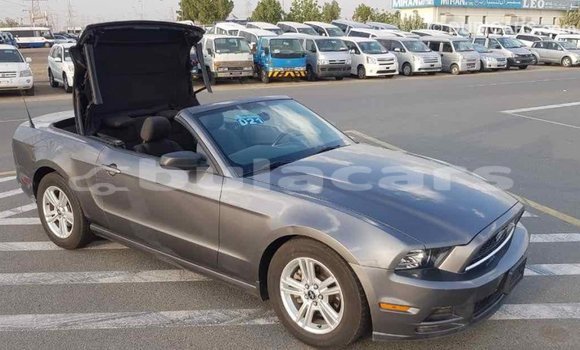 Buy Import Ford Mustang Grey Car in Import - Dubai in Central Buy Import Ford Mustang Grey Car in Import - Dubai in Central
