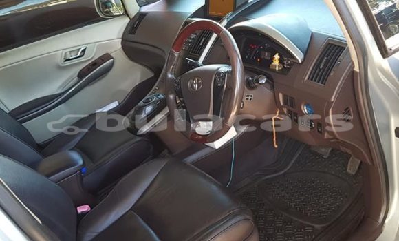 Acheter Occasion Voiture Toyota Sai Gris à Suva, Central Acheter Occasion Voiture Toyota Sai Gris à Suva, Central