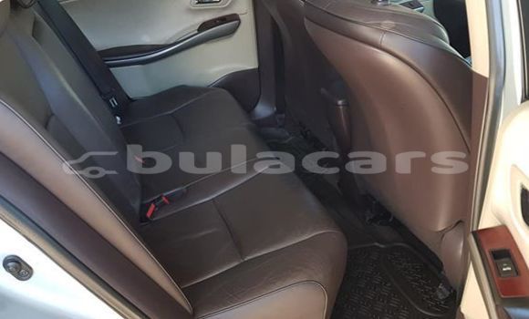 Acheter Occasion Voiture Toyota Sai Gris à Suva, Central Acheter Occasion Voiture Toyota Sai Gris à Suva, Central