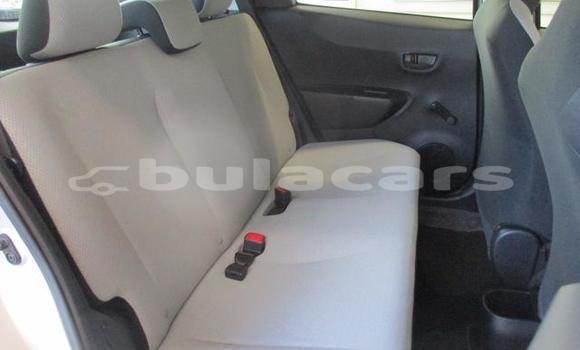 Buy Used Toyota Vitz Other Car in Korovou in Central Buy Used Toyota Vitz Other Car in Korovou in Central