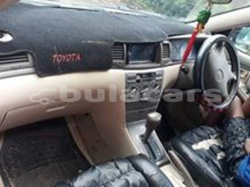 Big with watermark 60554389 1126691944204509 7827959307235753984 n