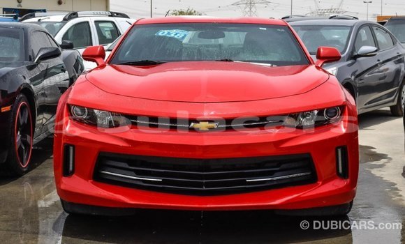 Buy Import Chevrolet Camaro Red Car in Import - Dubai in Central Buy Import Chevrolet Camaro Red Car in Import - Dubai in Central