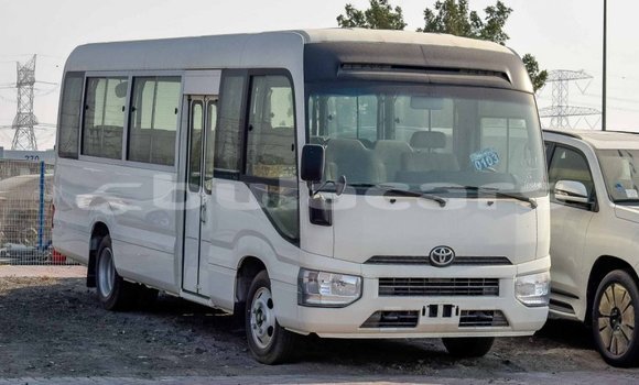 Buy Import Toyota Coaster White Car in Import - Dubai in Central Buy Import Toyota Coaster White Car in Import - Dubai in Central