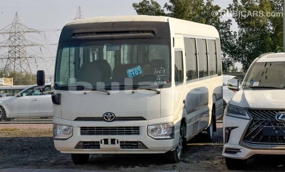 Buy Import Toyota Coaster White Car in Import - Dubai in Central Buy Import Toyota Coaster White Car in Import - Dubai in Central