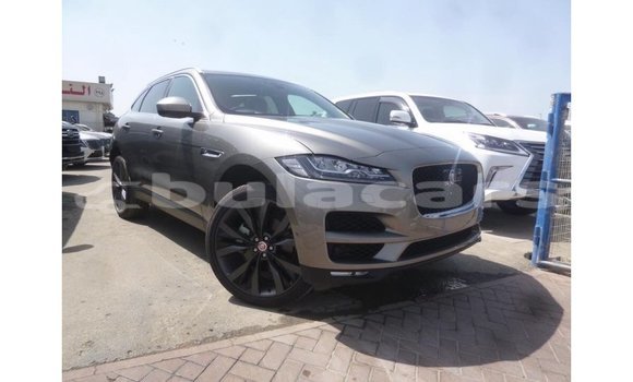 Buy Import Jaguar F-Pace Grey Car in Import - Dubai in Central