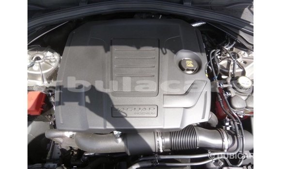 Acheter Import Voiture Jaguar F-Pace Gris à Import - Dubai, Central Acheter Import Voiture Jaguar F-Pace Gris à Import - Dubai, Central