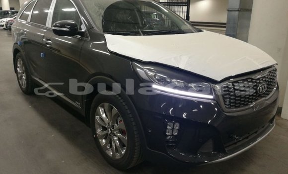 Buy Import Kia Sorento Brown Car in Import - Dubai in Central Buy Import Kia Sorento Brown Car in Import - Dubai in Central