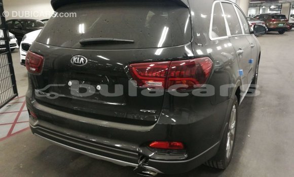 Buy Import Kia Sorento Brown Car in Import - Dubai in Central Buy Import Kia Sorento Brown Car in Import - Dubai in Central