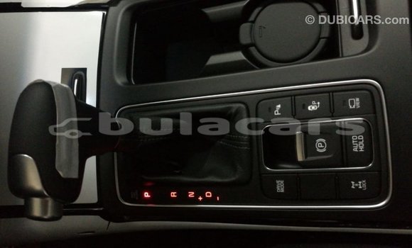 Buy Import Kia Sorento Brown Car in Import - Dubai in Central Buy Import Kia Sorento Brown Car in Import - Dubai in Central