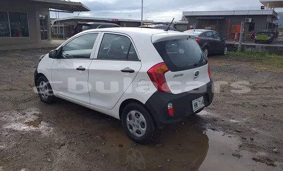 Acheter Occasion Voiture Kia Picanto Blanc à Suva, Central Acheter Occasion Voiture Kia Picanto Blanc à Suva, Central