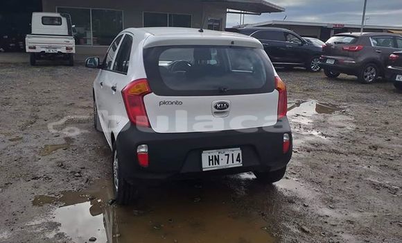 Acheter Occasion Voiture Kia Picanto Blanc à Suva, Central Acheter Occasion Voiture Kia Picanto Blanc à Suva, Central