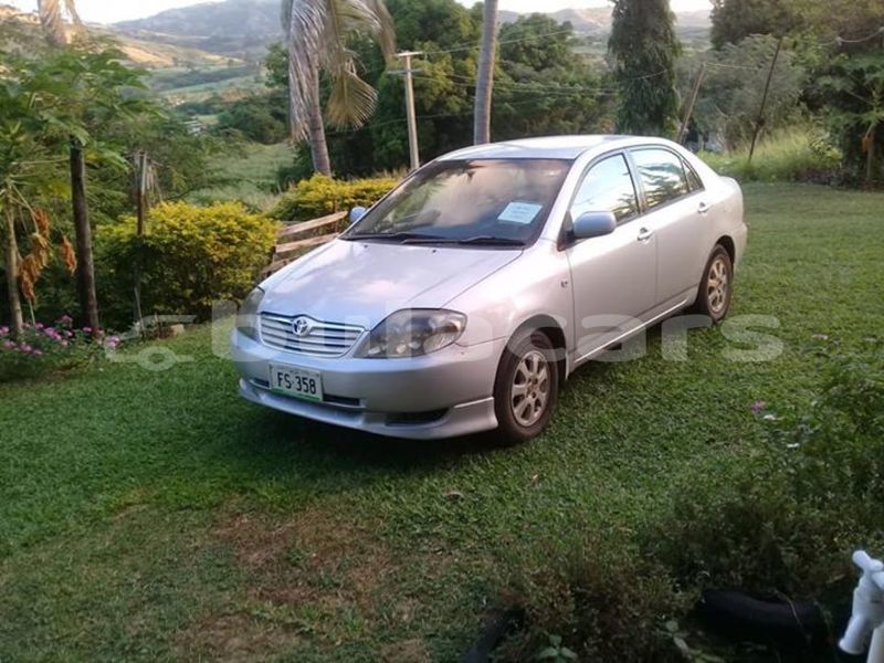 Big with watermark 62060723 2090738951035468 2606663115625988096 n